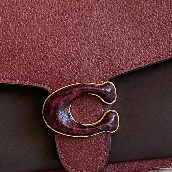 C4203 - Coach Tabby Chain Clutch in Colorblock with Snakeskin Detail - Picture 8 of 13